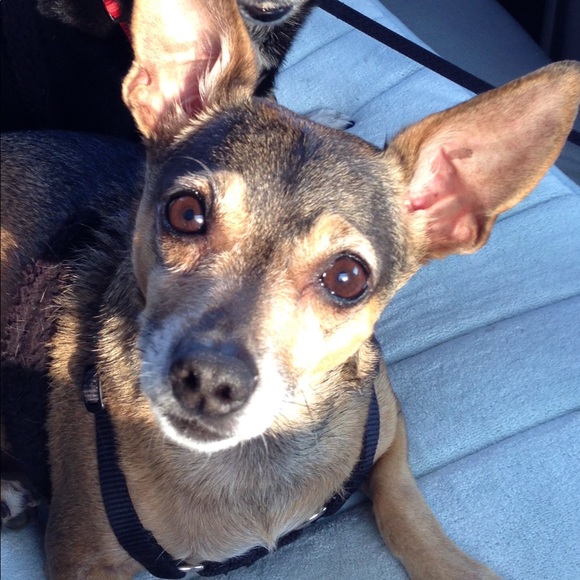 Miko Martin, Posh Ambassador - Picture 2 of 3